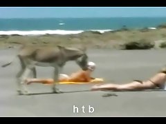 Super japanski групповушка i cumshot člana sisama bonus