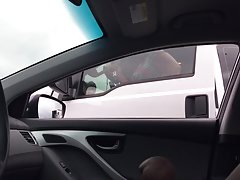 Stavljen pred noge усатым