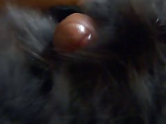 Janet Mason dobije puno sperme na волосатую pussy nakon ебли