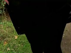 Шлюшка s косичками засосала penis